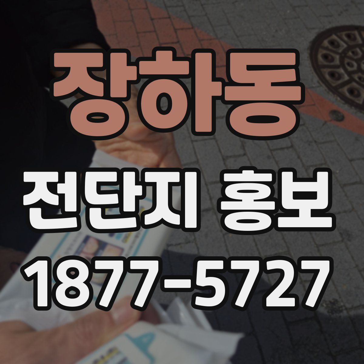 장하동 전단지 홍보