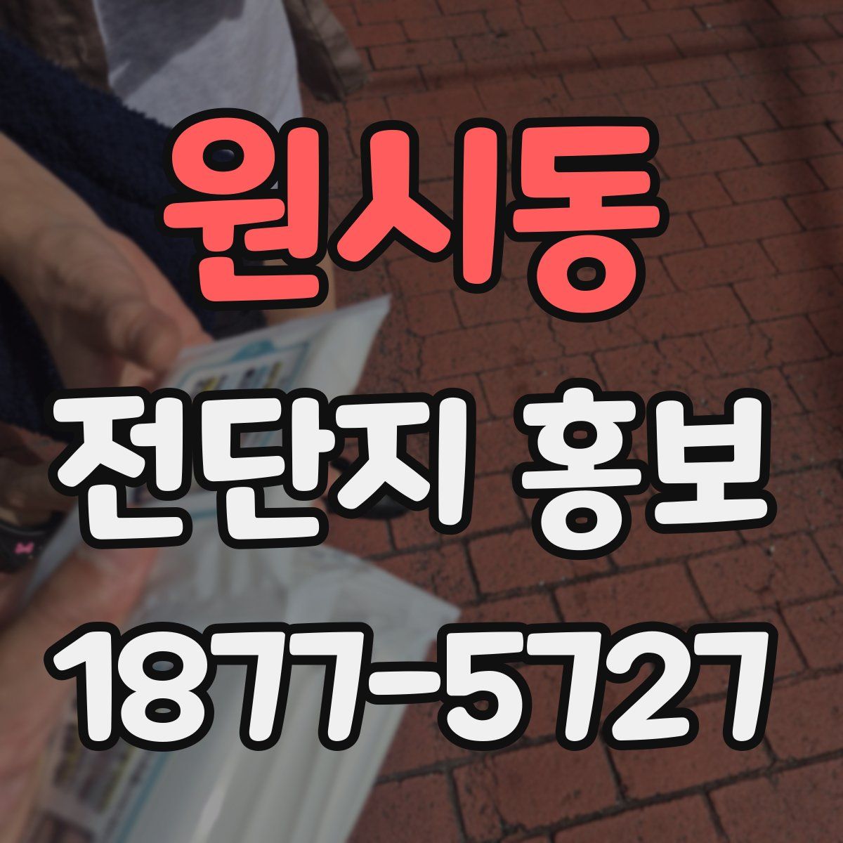원시동 전단지 홍보