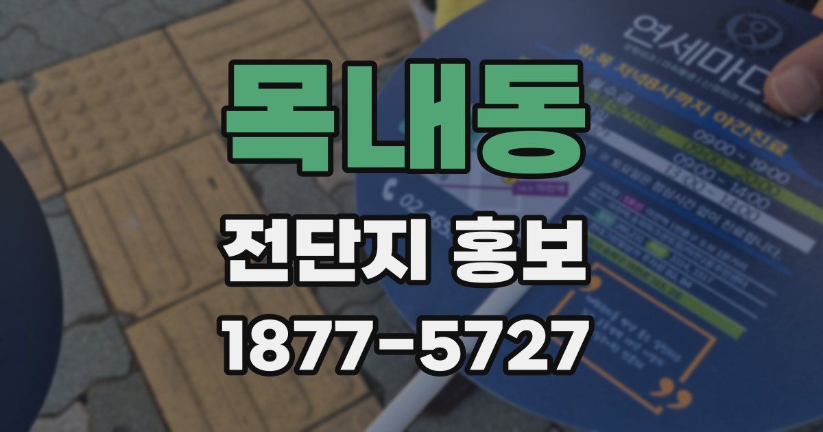 목내동 전단지 홍보