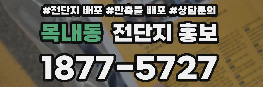 목내동 전단지 홍보