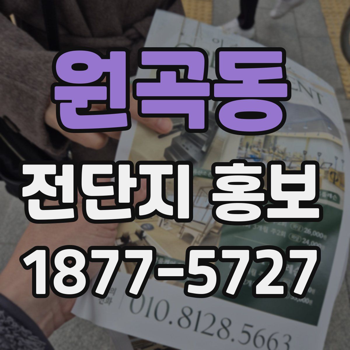 원곡동 전단지 홍보