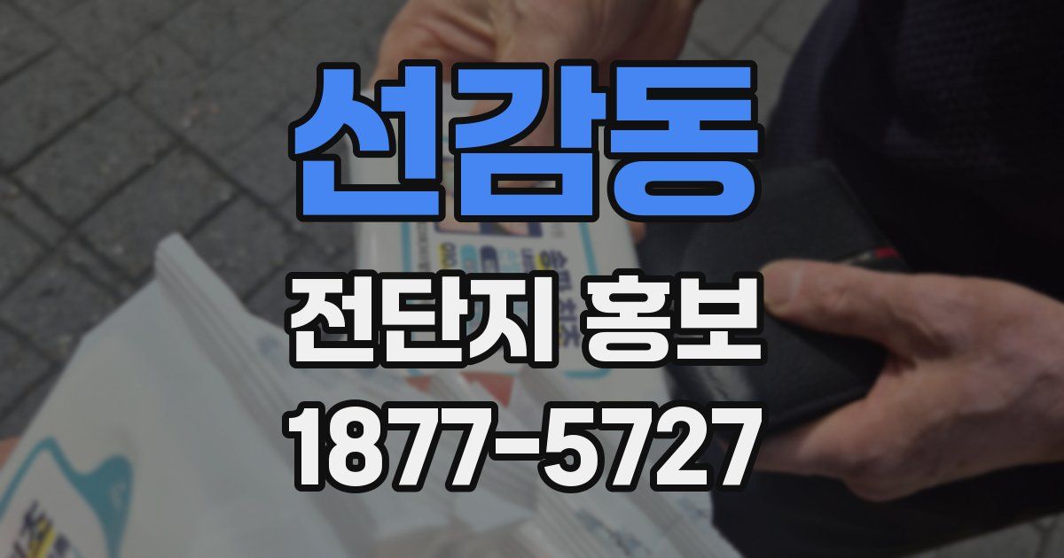 선감동 전단지 홍보