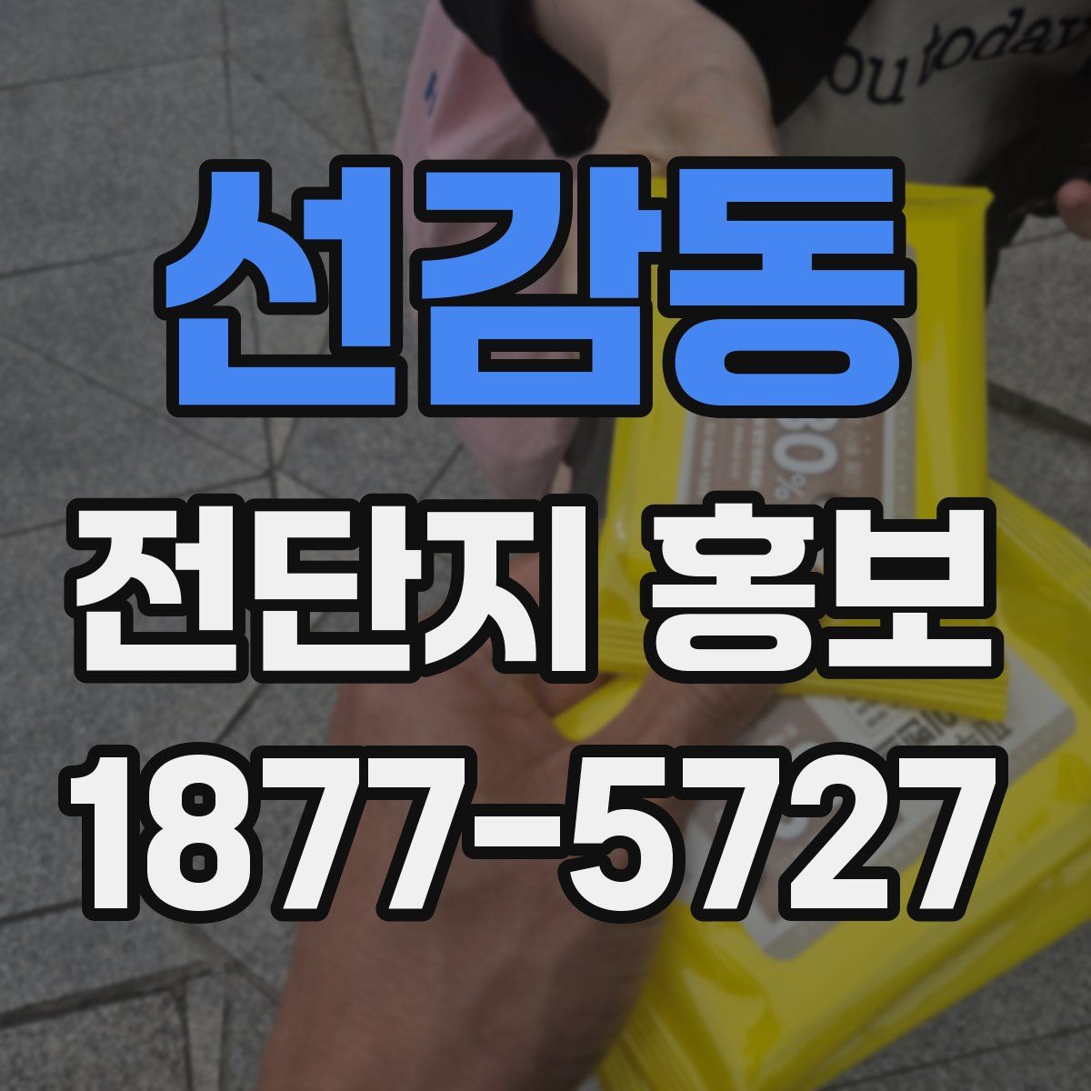 선감동 전단지 홍보