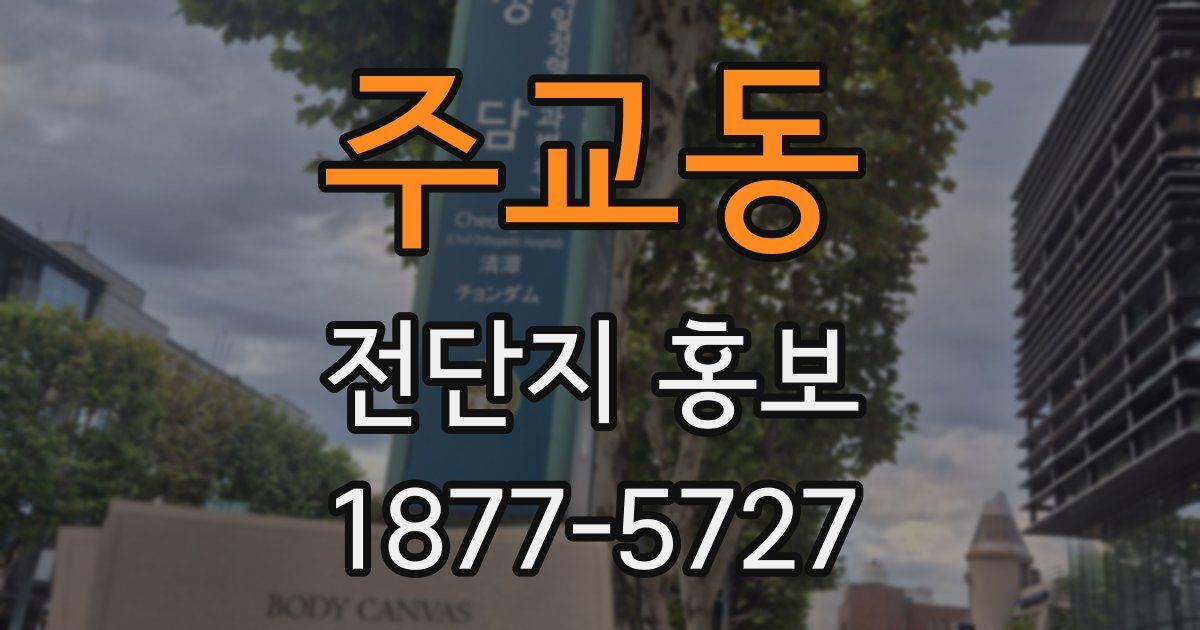 주교동 전단지 홍보