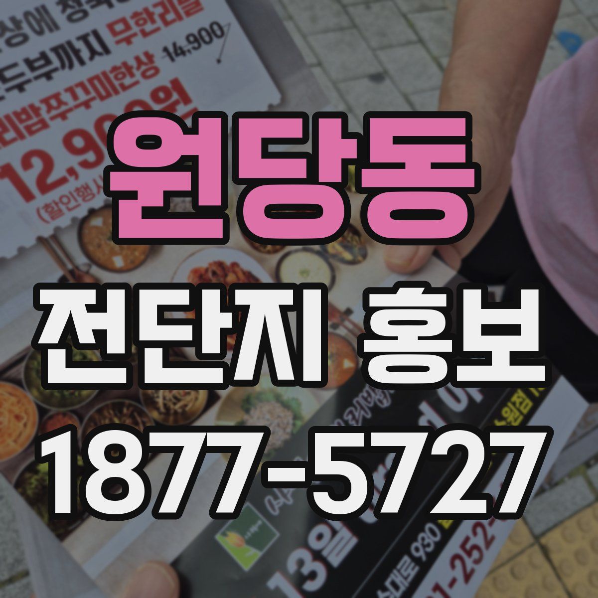 원당동 전단지 홍보