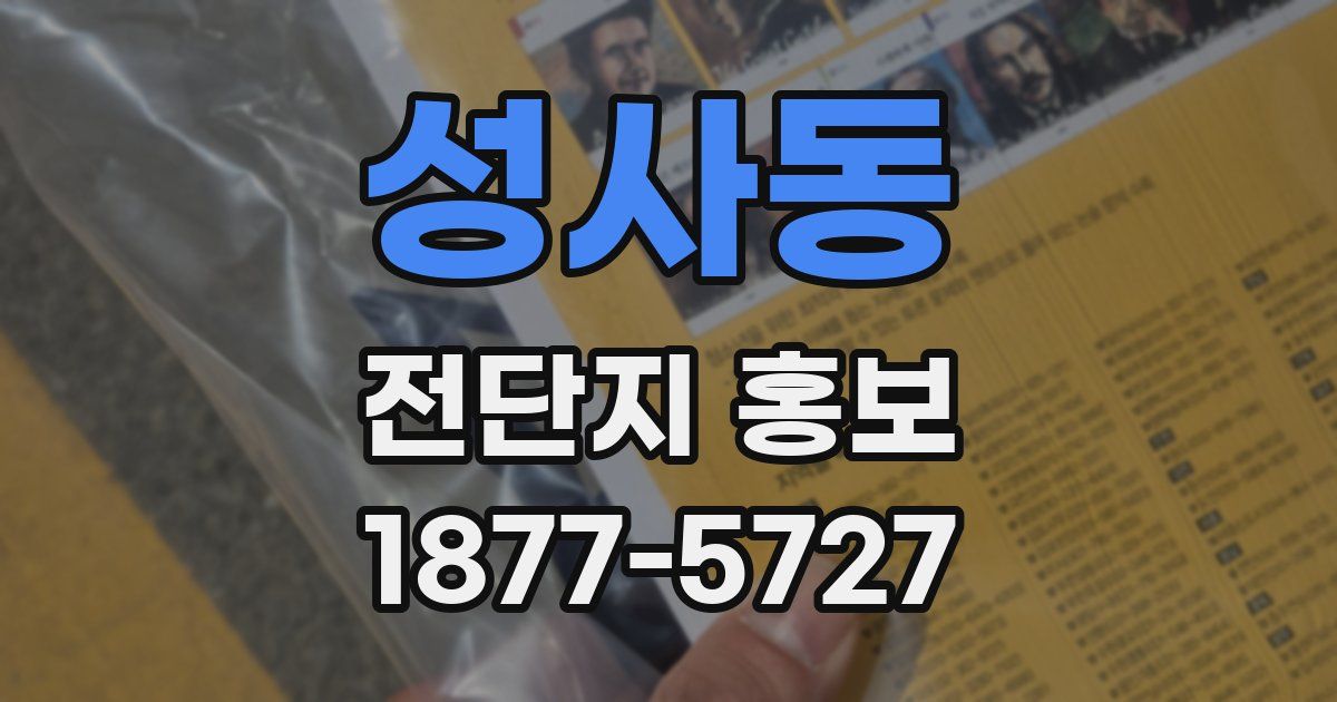 성사동 전단지 홍보
