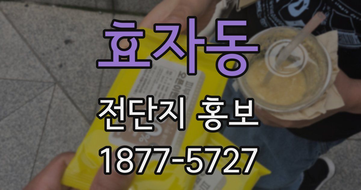 효자동 전단지 홍보