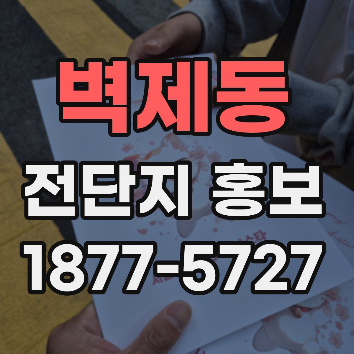 벽제동 전단지 홍보
