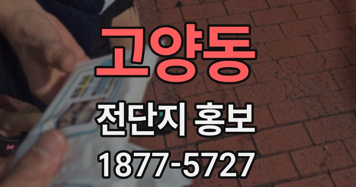 고양동 전단지 홍보