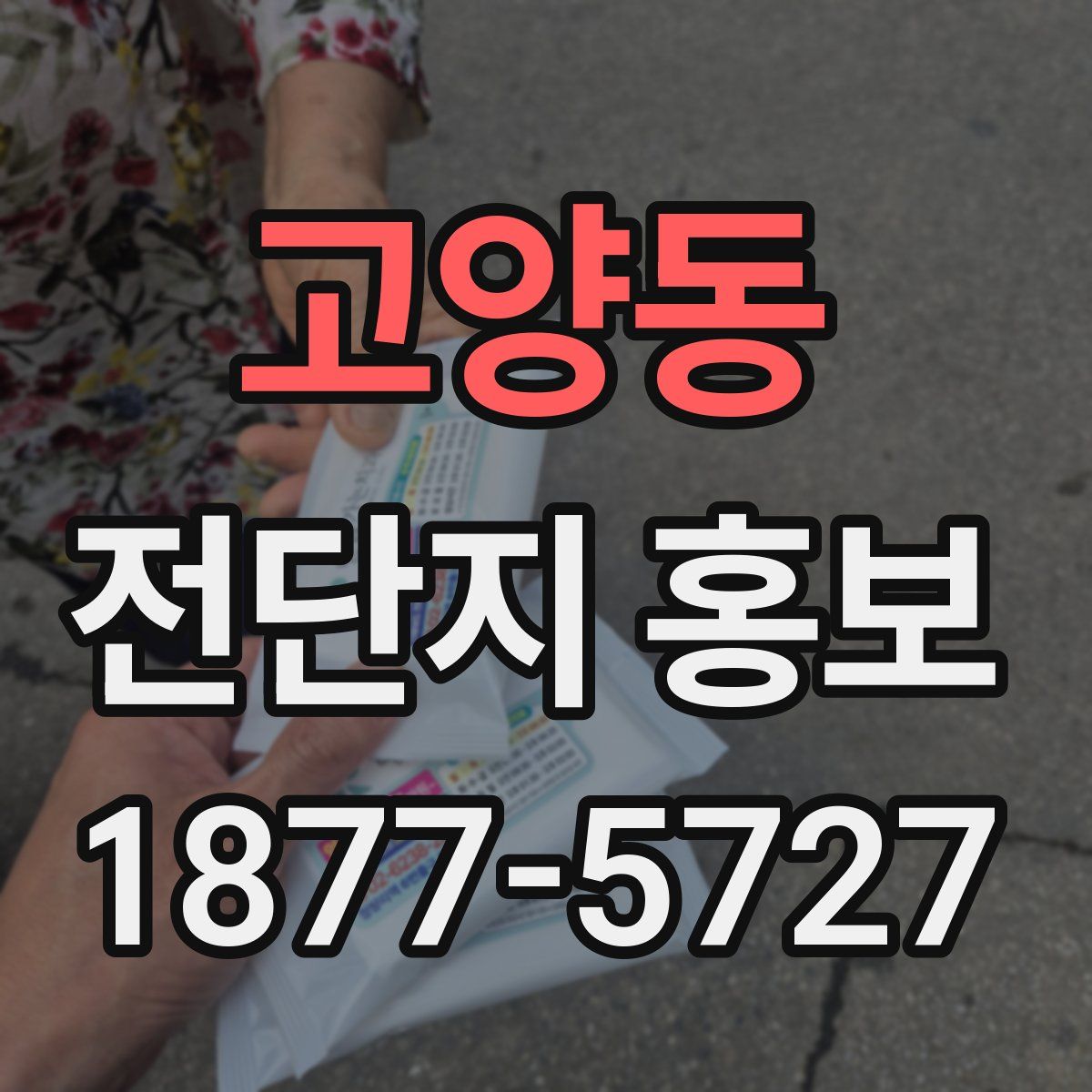 고양동 전단지 홍보