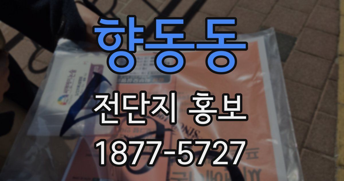 향동동 전단지 홍보