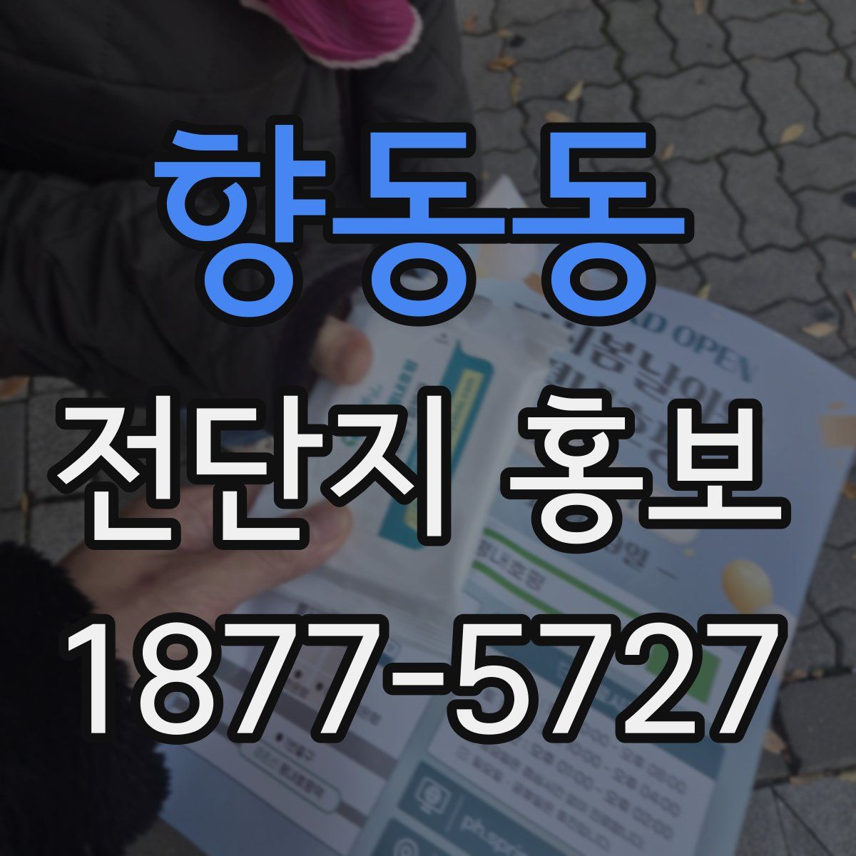 향동동 전단지 홍보