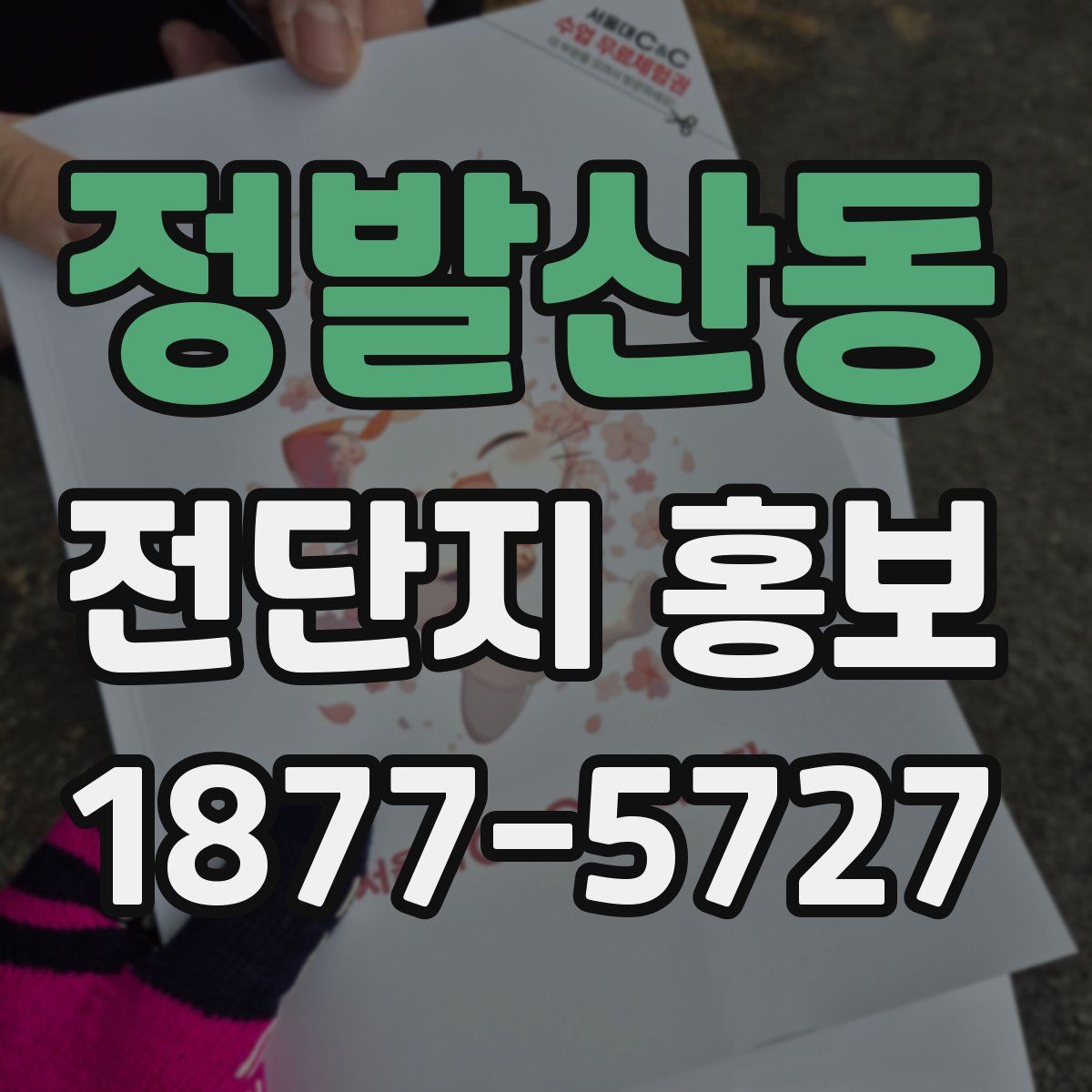 정발산동 전단지 홍보