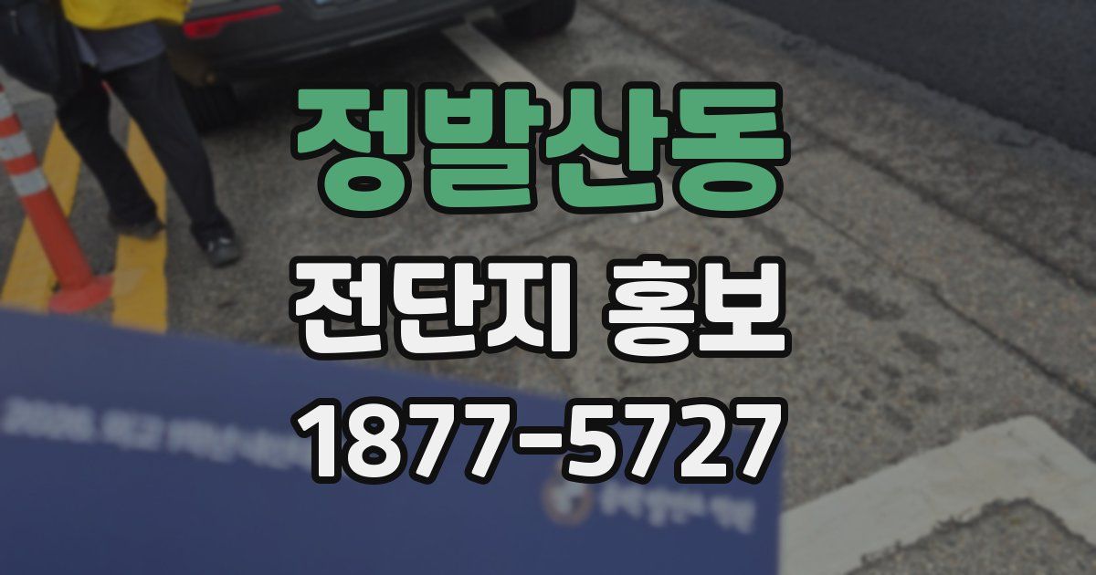 정발산동 전단지 홍보