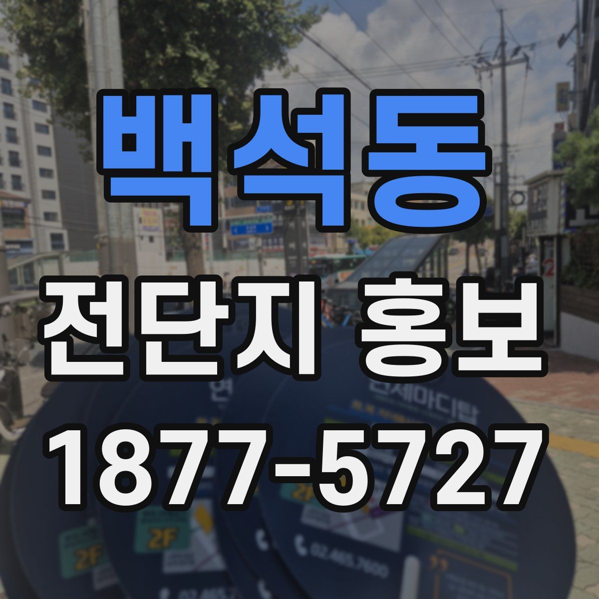 백석동 전단지 홍보