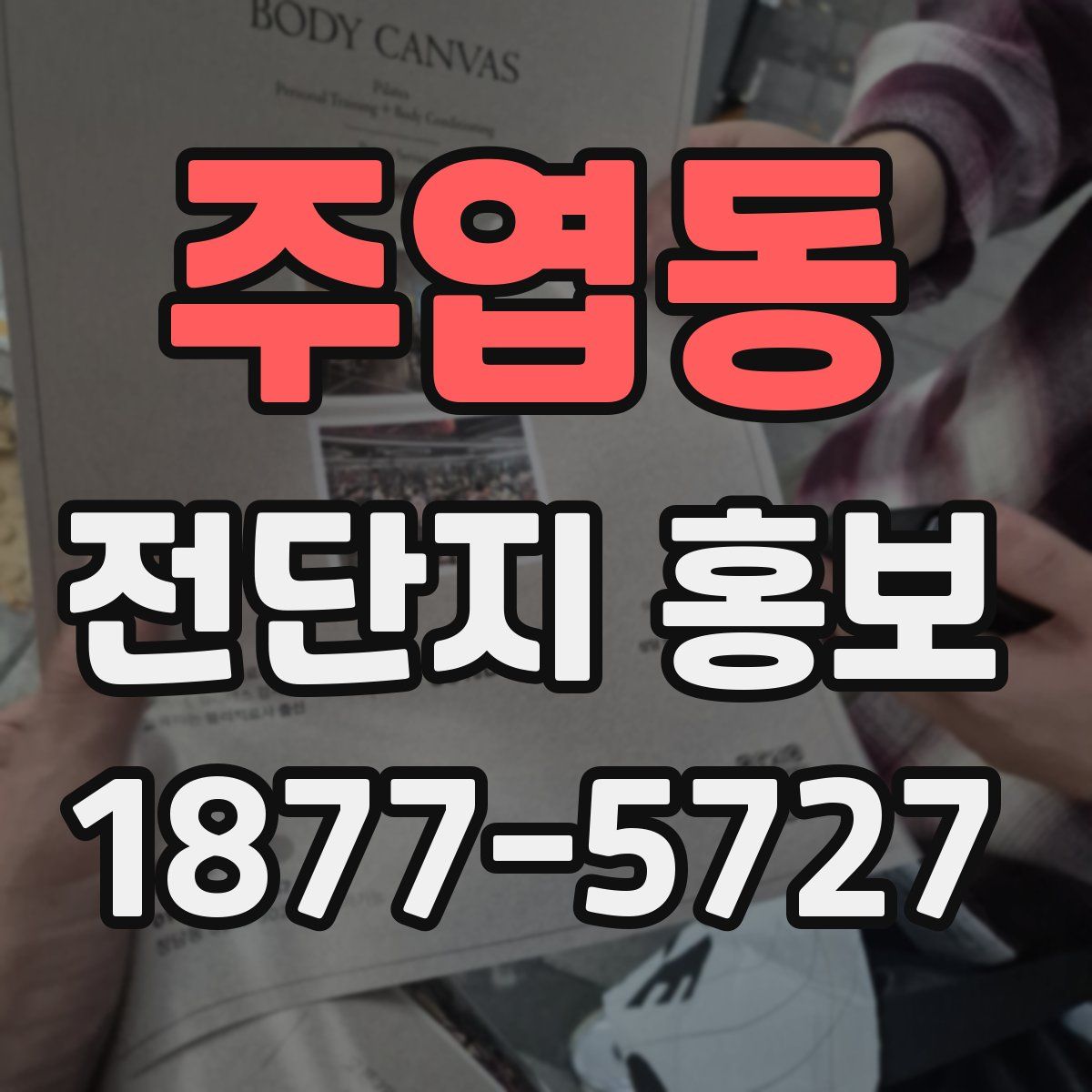주엽동 전단지 홍보