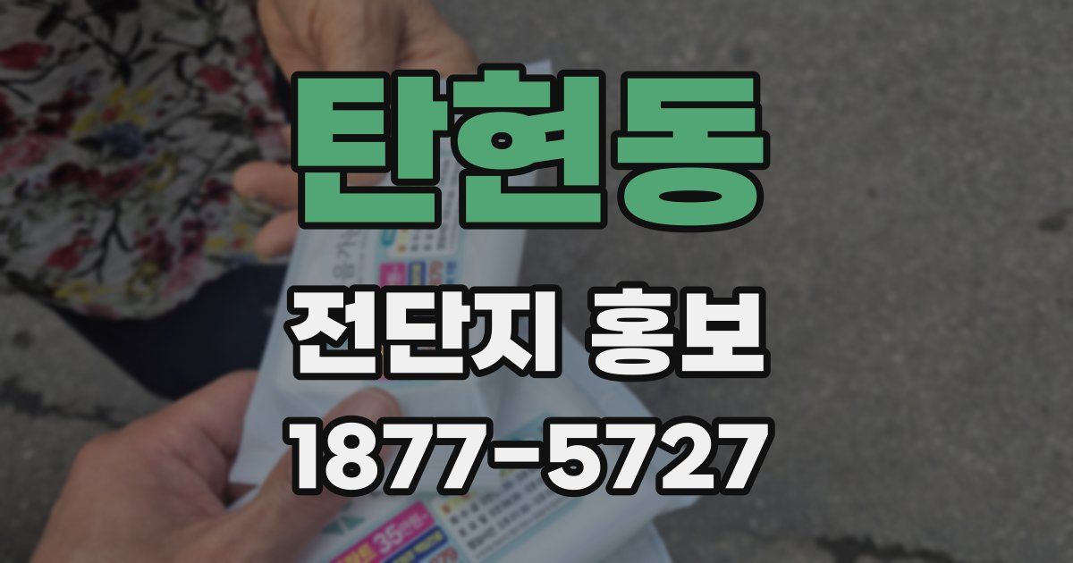 탄현동 전단지 홍보