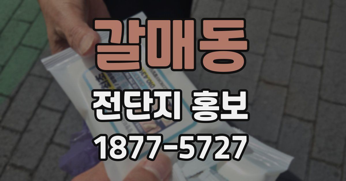 갈매동 전단지 홍보