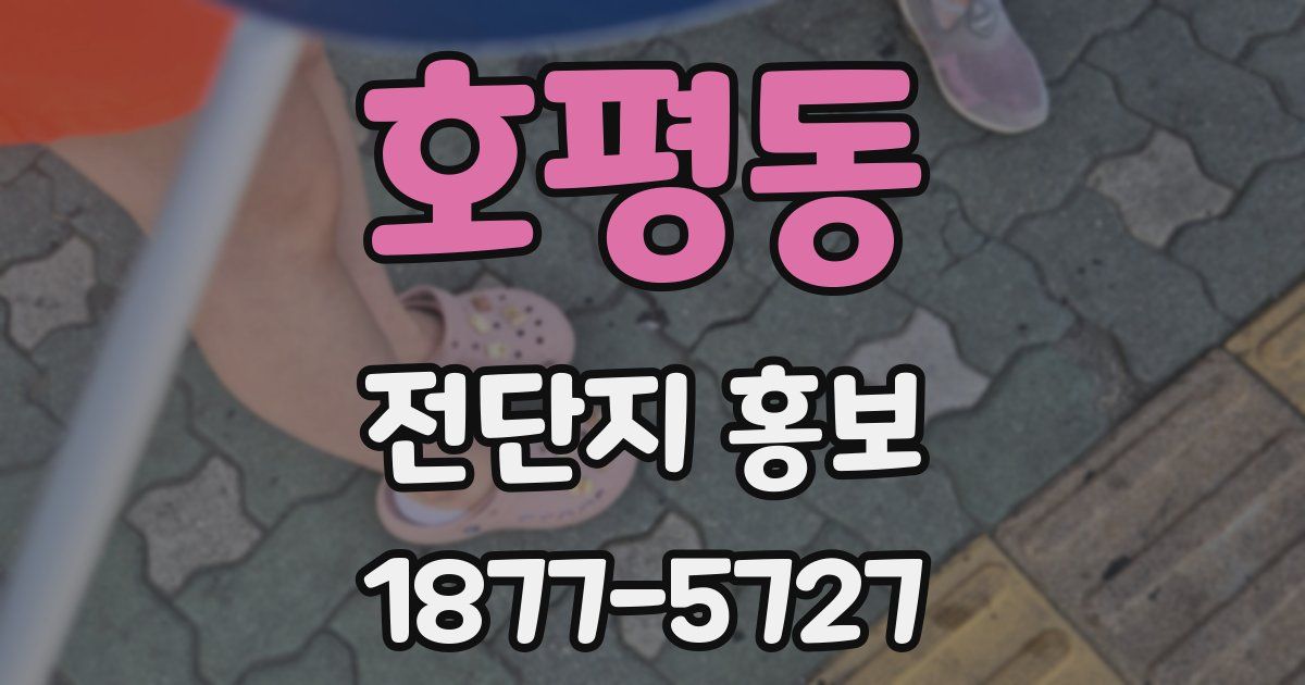 호평동 전단지 홍보