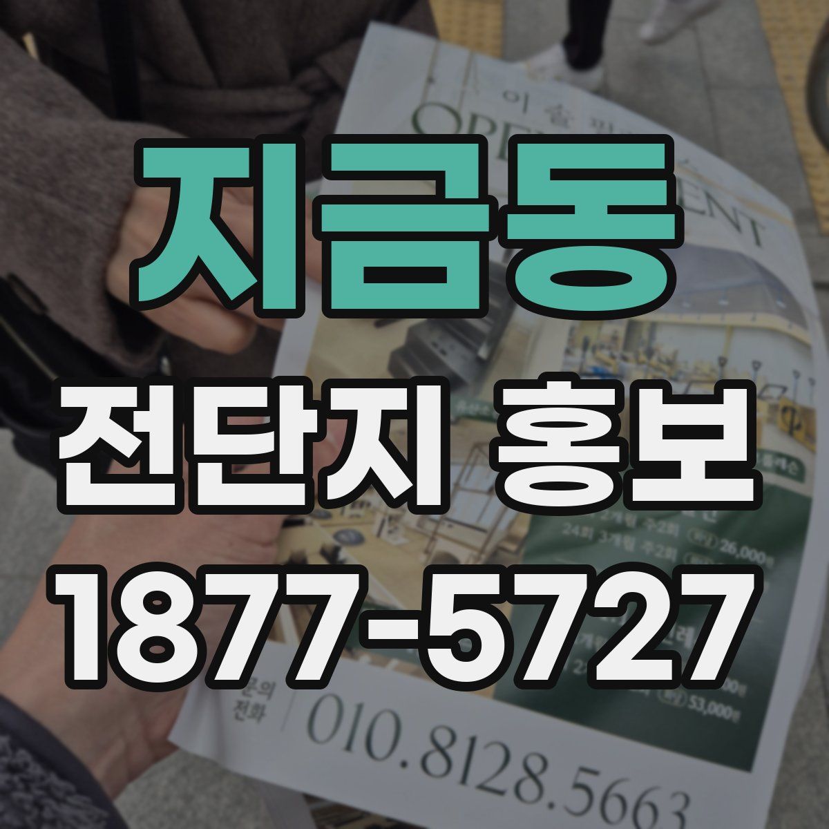 지금동 전단지 홍보