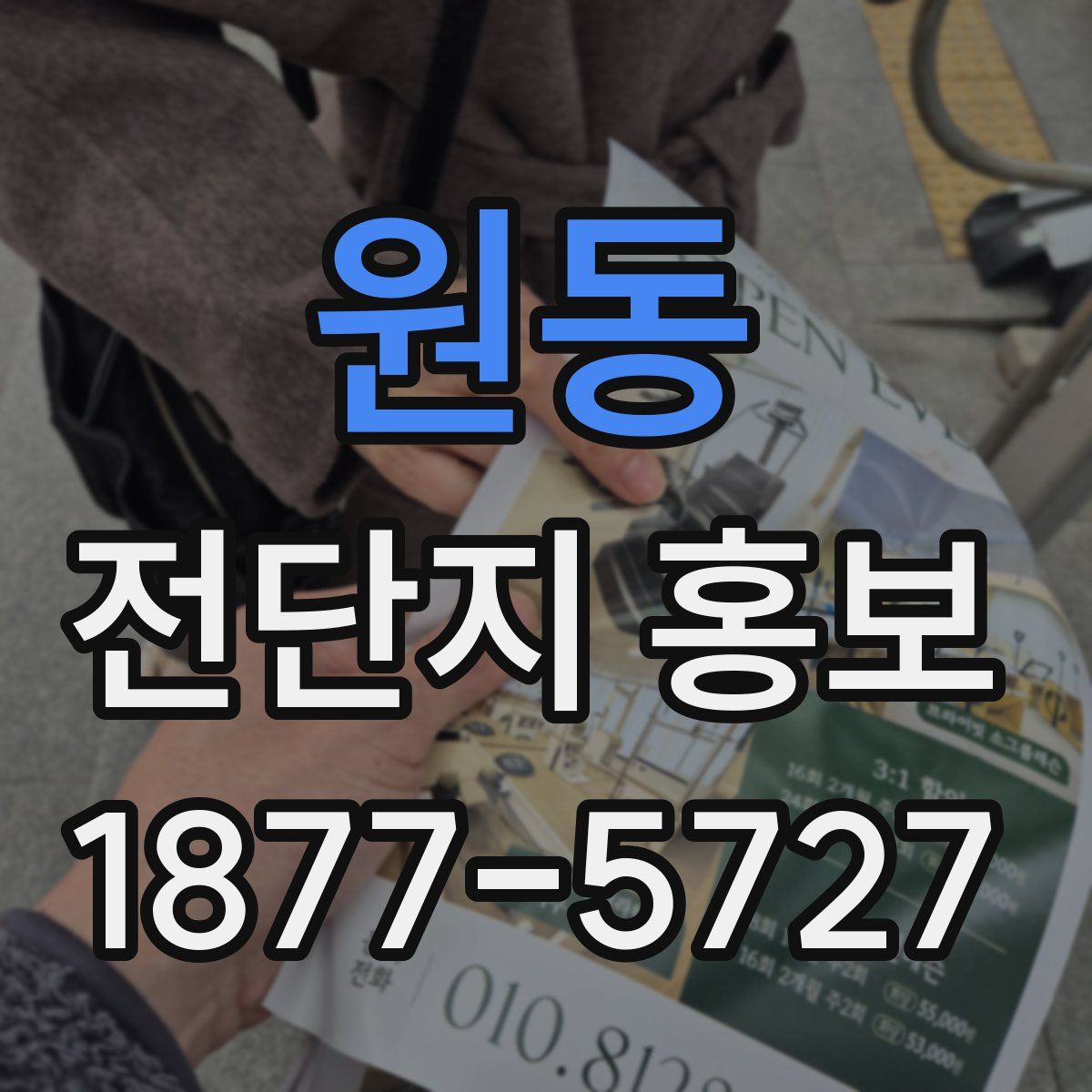 원동 전단지 홍보
