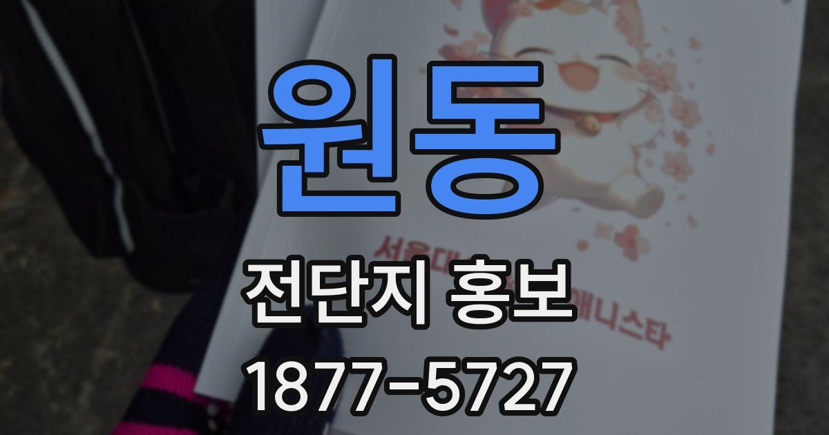 원동 전단지 홍보