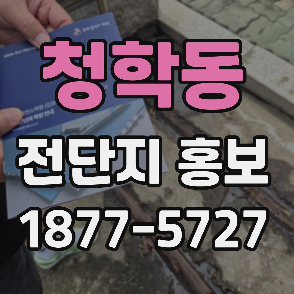 청학동 전단지 홍보
