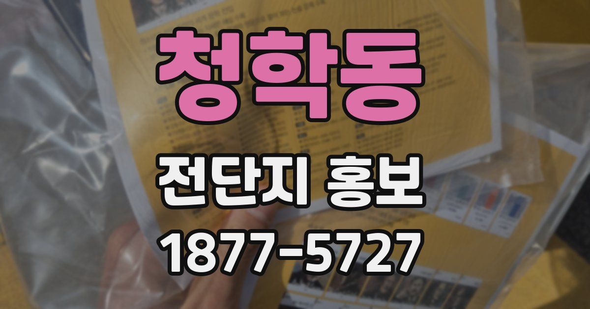 청학동 전단지 홍보