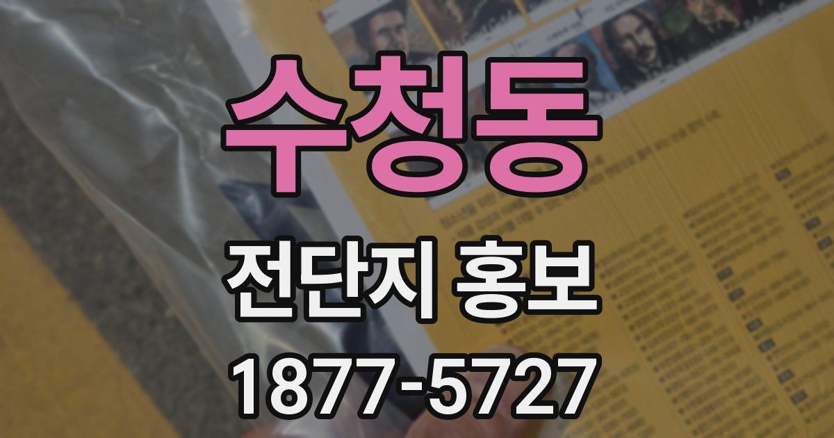 수청동 전단지 홍보