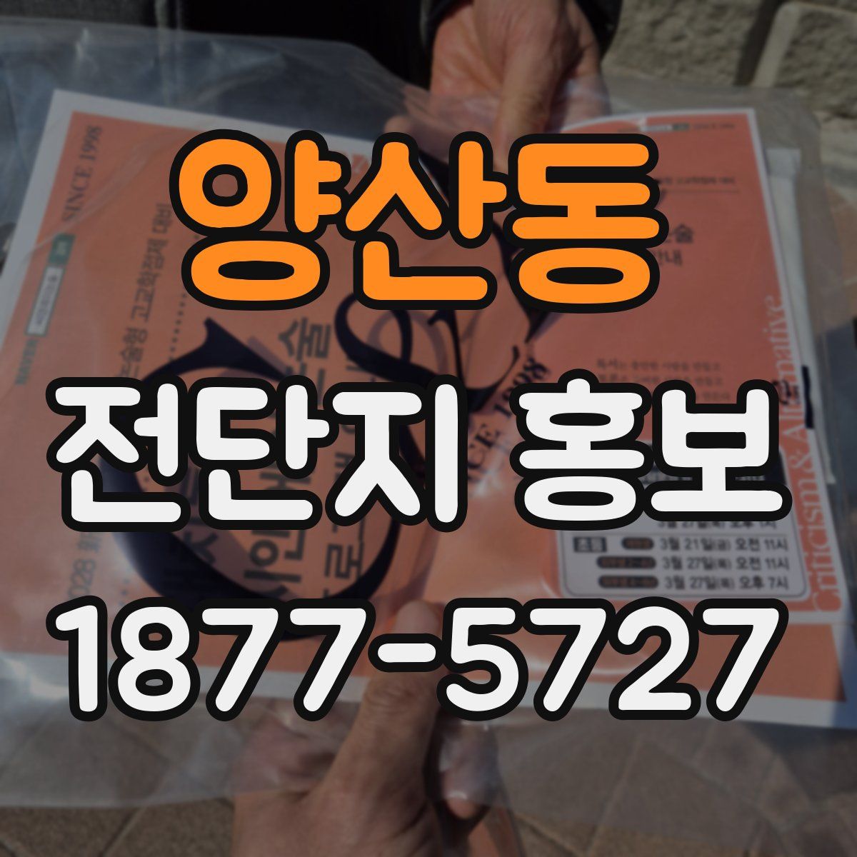 양산동 전단지 홍보