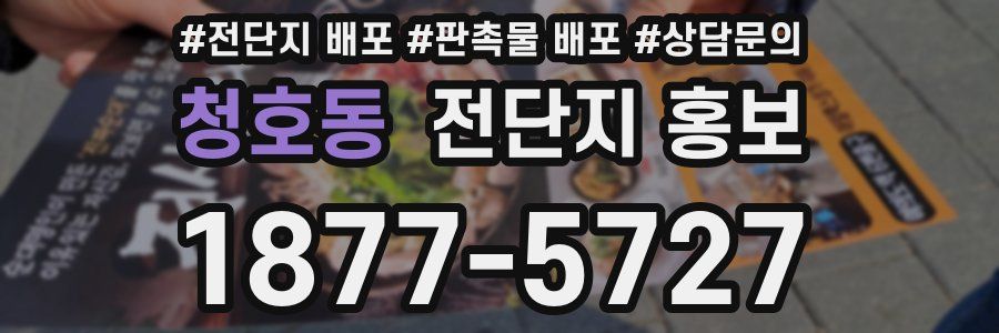 청호동 전단지 홍보