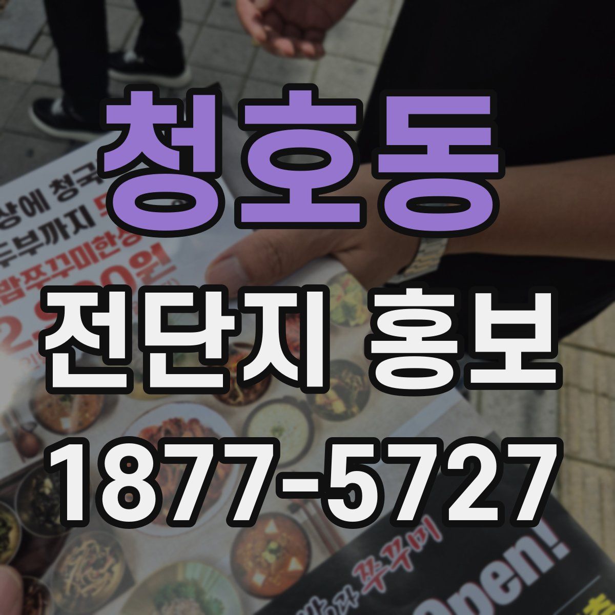 청호동 전단지 홍보