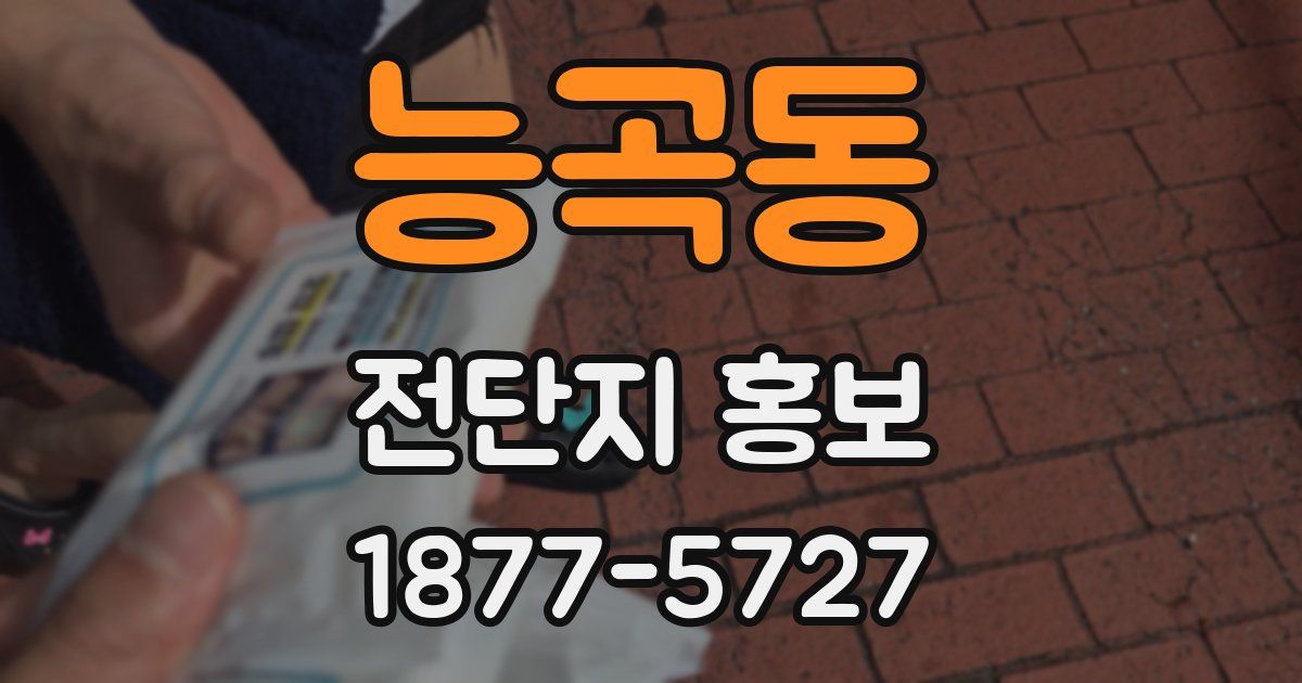 능곡동 전단지 홍보