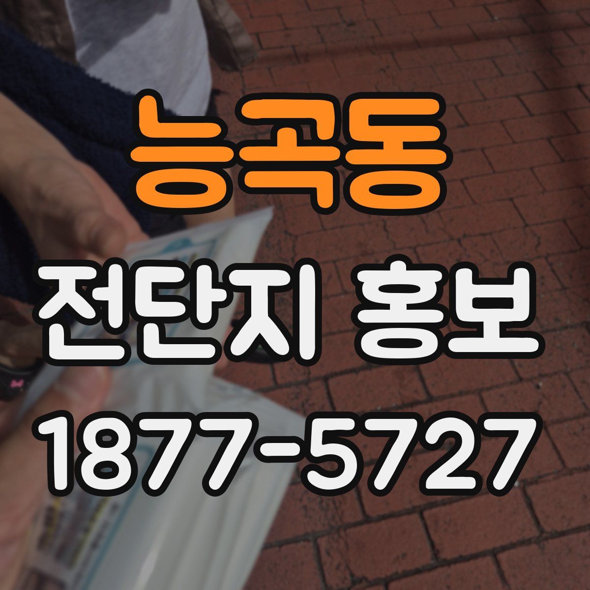 능곡동 전단지 홍보
