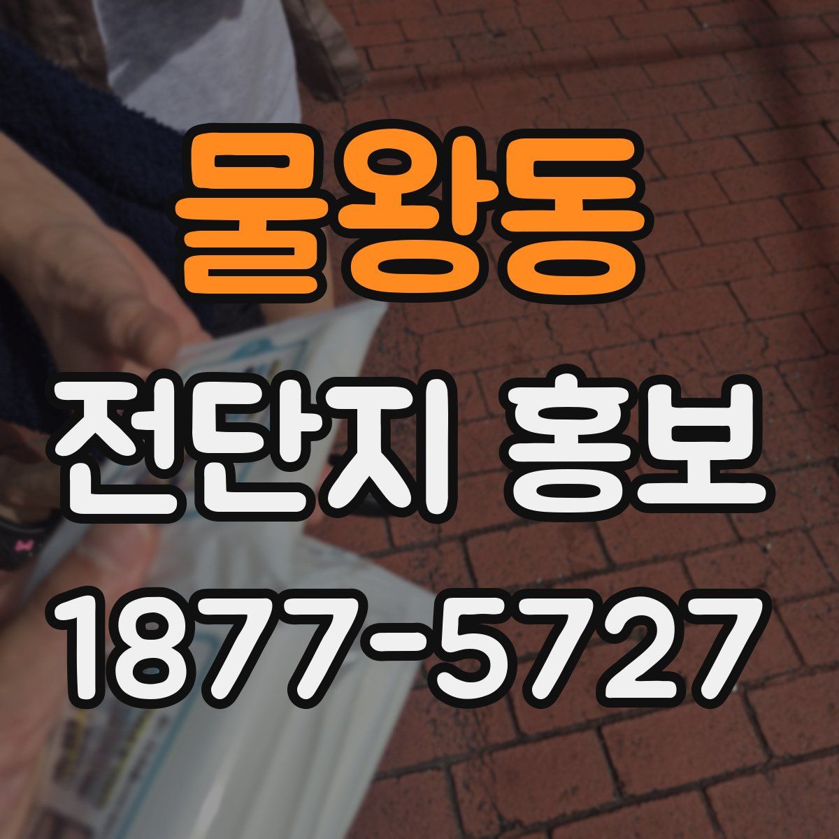 물왕동 전단지 홍보