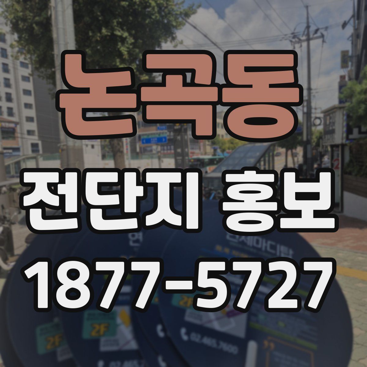 논곡동 전단지 홍보