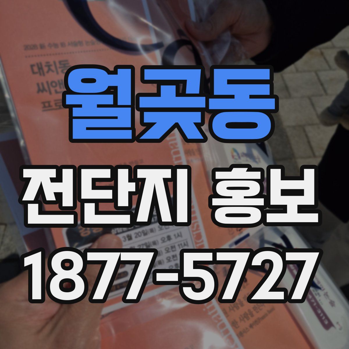 월곶동 전단지 홍보