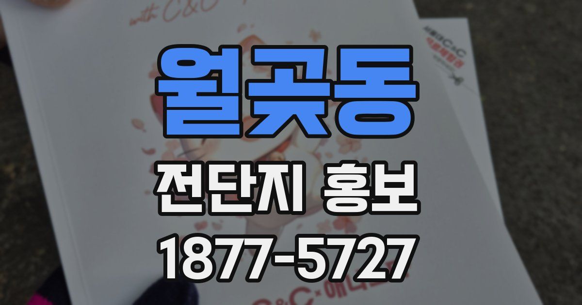 월곶동 전단지 홍보