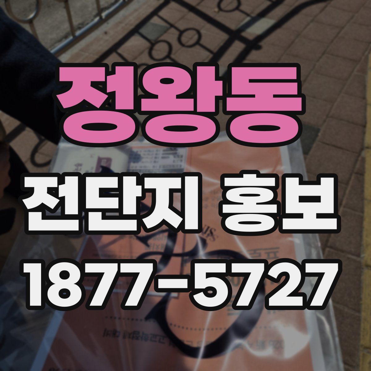 정왕동 전단지 홍보