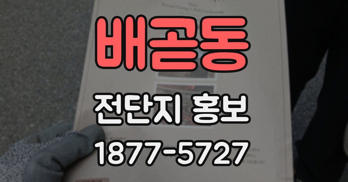 배곧동 전단지 홍보