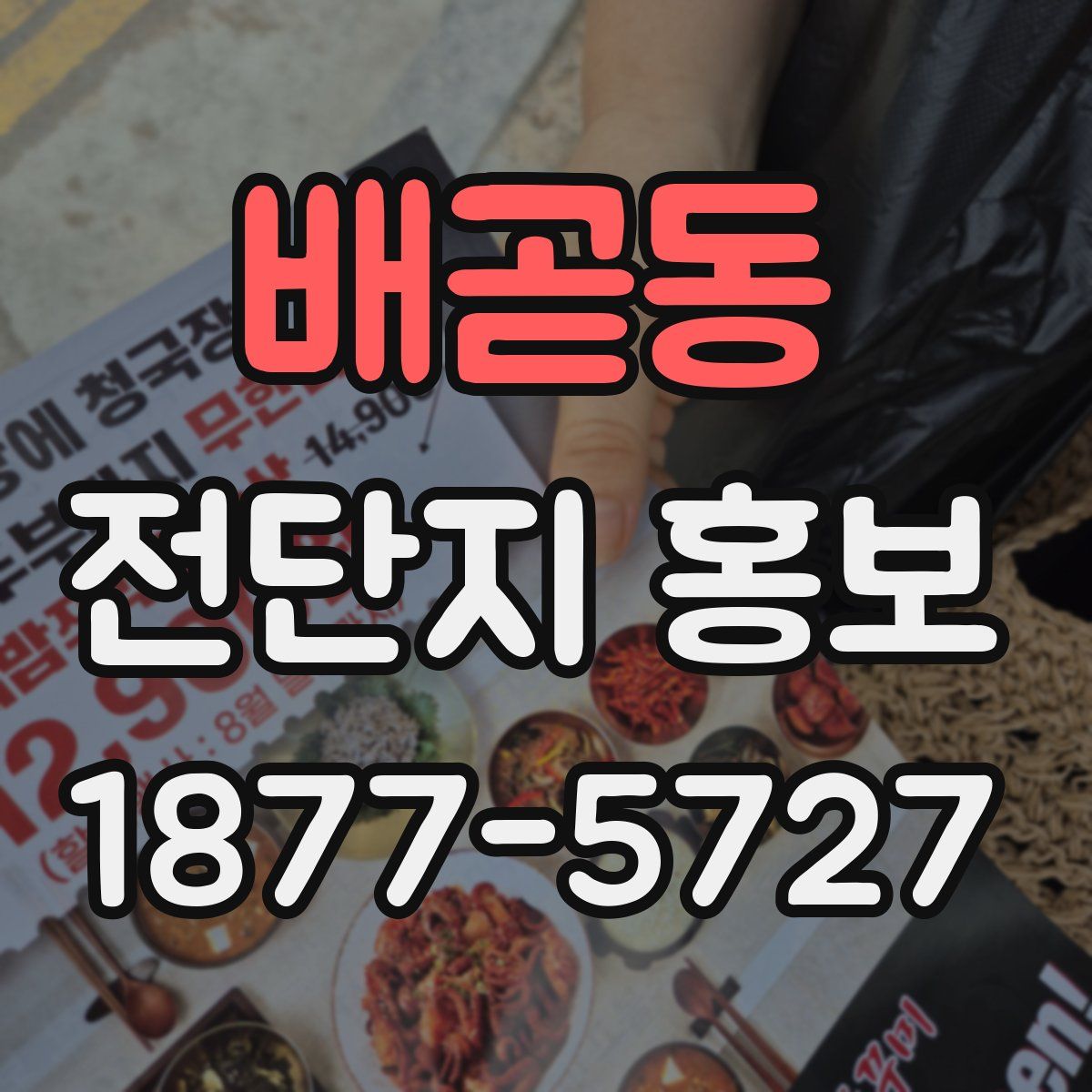 배곧동 전단지 홍보