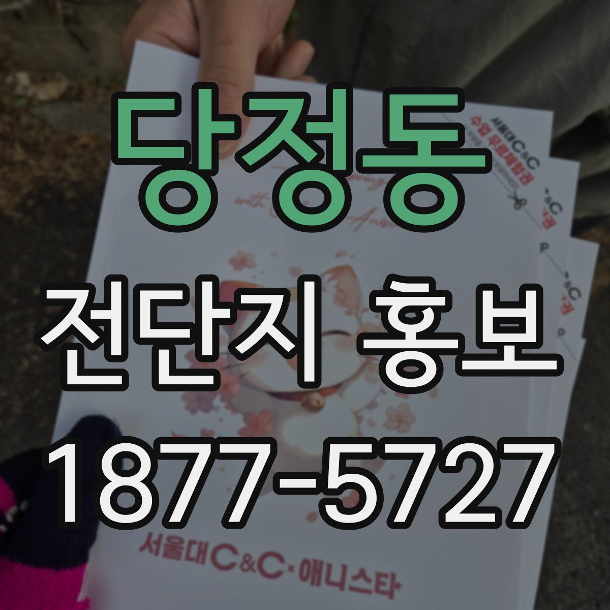 당정동 전단지 홍보