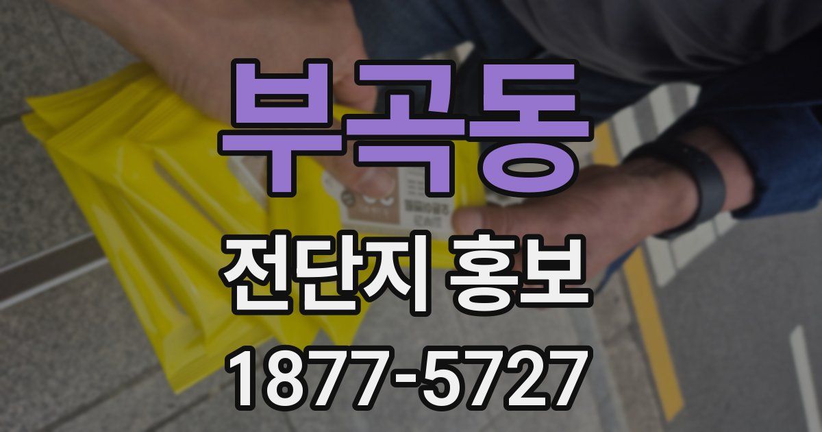 부곡동 전단지 홍보