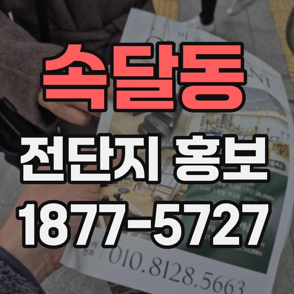 속달동 전단지 홍보