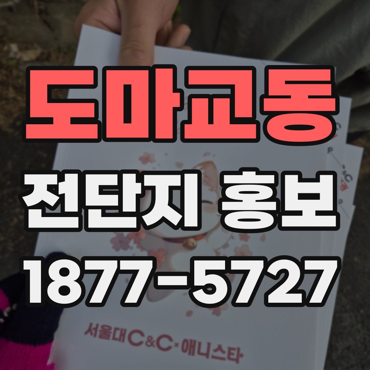 도마교동 전단지 홍보