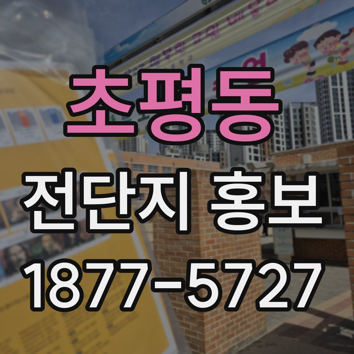 초평동 전단지 홍보