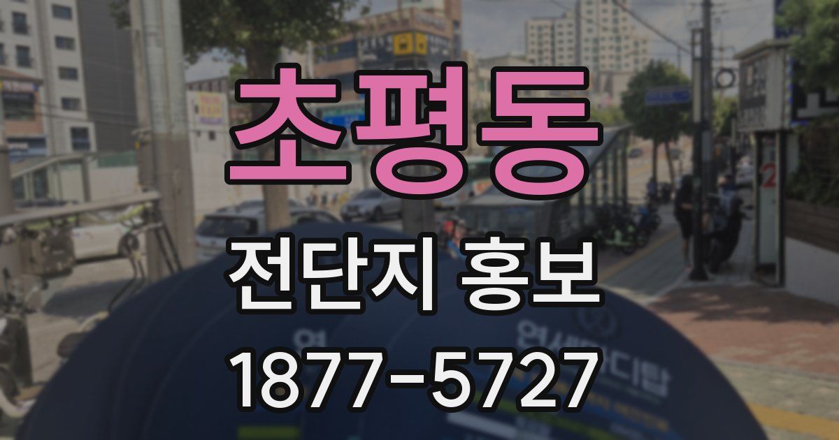초평동 전단지 홍보