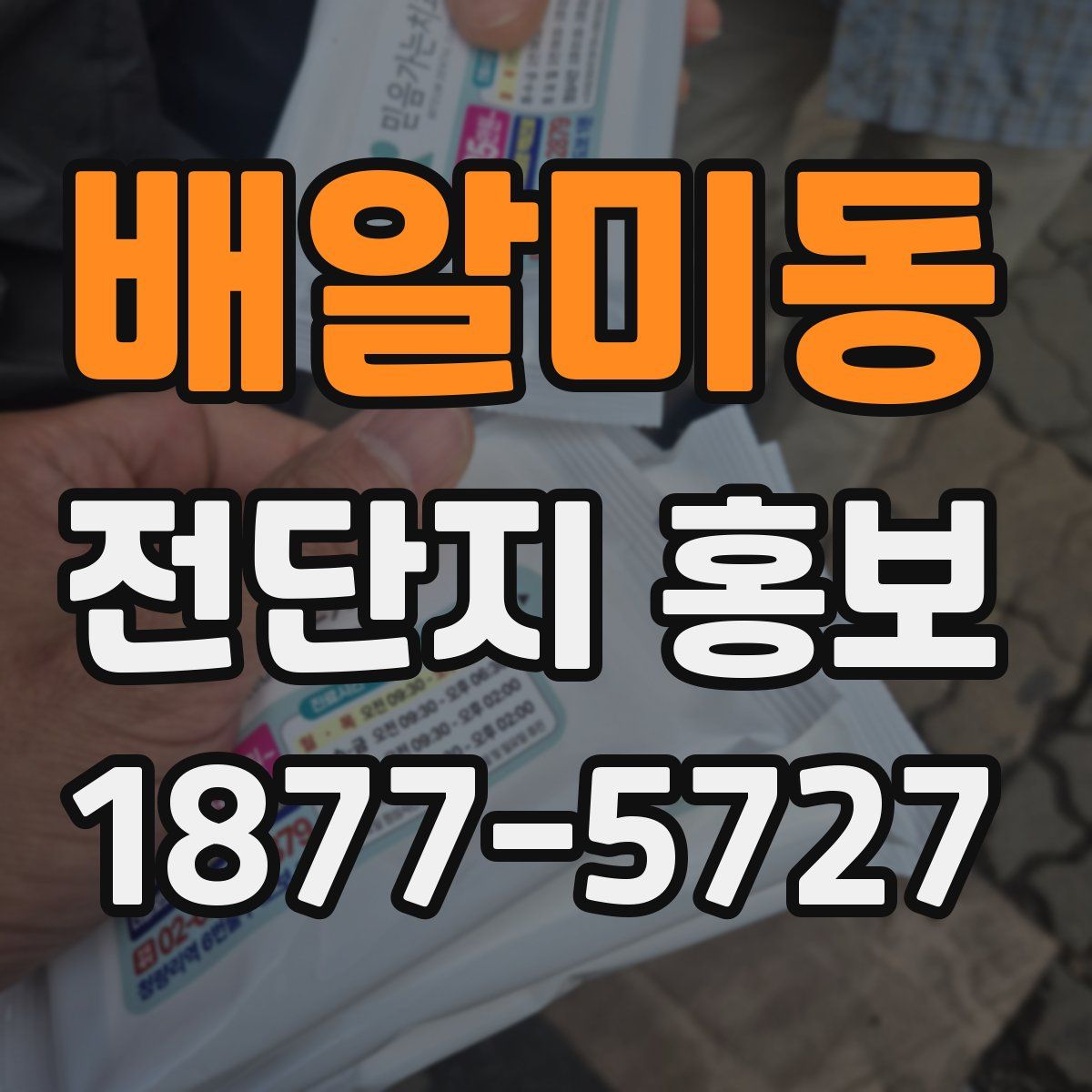 배알미동 전단지 홍보