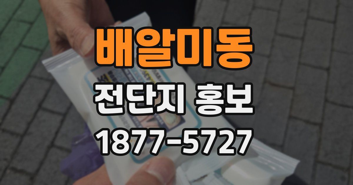 배알미동 전단지 홍보