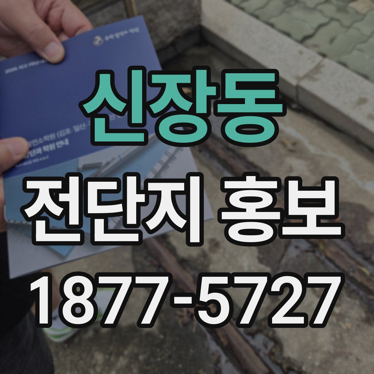 신장동 전단지 홍보